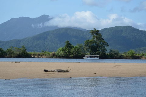 Afternoon Half-Day Daintree Rainforest And River Tour - 2032 Olympic Games 2