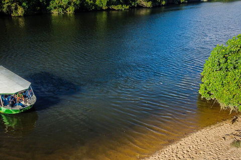 Afternoon Half-Day Daintree Rainforest And River Tour - 2032 Olympic Games 3