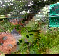 Port Arthur Richmond and Tasman Peninsula Day Trip from Hobart - 2032 Olympic Games