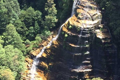 Private Blue Mountains Tour With Kangaroo And Koala Experience - 2032 Olympic Games 5