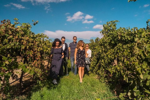 Barossa Valley Private Tour (from 2 To 11 People) - 2032 Olympic Games 0