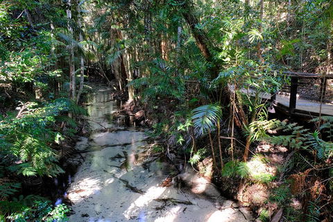 Fraser Island 4WD Tour From Rainbow Beach - 2032 Olympic Games 0