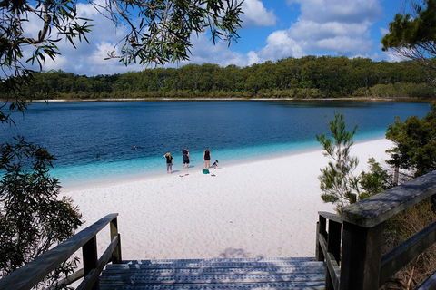 Fraser Island 4WD Tour From Rainbow Beach - 2032 Olympic Games 3