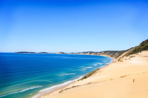 Kayak With Dolphins And 4WD Great Beach Drive Day Trip From Noosa - 2032 Olympic Games 0