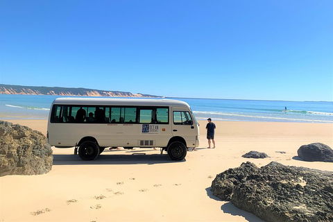 Kayak With Dolphins And 4WD Great Beach Drive Day Trip From Noosa - 2032 Olympic Games 4