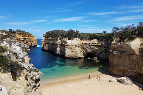 Helicopter Flight + Fine Dining Private Luxury Great Ocean Road Tour - 2032 Olympic Games 1