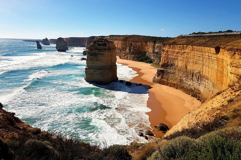 Helicopter Flight + Fine Dining Private Luxury Great Ocean Road Tour - 2032 Olympic Games 4