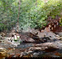 Ethical Adventures - Best in the WET - Litchfield / Kakadu 3 Day- max 10 guests - 2032 Olympic Games