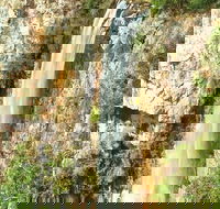 Private Tour - Rainforest  Waterfalls Extravaganza - 2032 Olympic Games