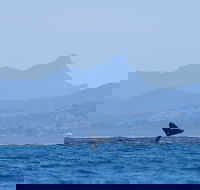 The Byron Bay Sea Kayak Tour - 2032 Olympic Games