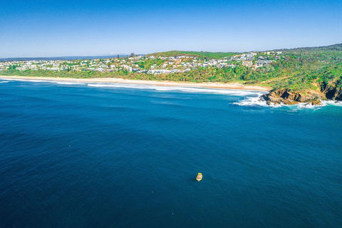 2-Hour Guided Whale Watching Tour At Noosa - 2032 Olympic Games 4