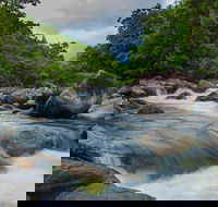 Cape Tribulation Day Tour - 2032 Olympic Games