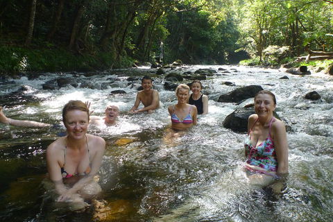Daintree Rainforest, Cape Tribulation, Mossman Gorge Small-Group Day Tour - 2032 Olympic Games 0