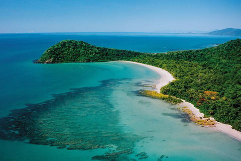 Daintree Rainforest, Cape Tribulation, Mossman Gorge Small-Group Day Tour - 2032 Olympic Games 4