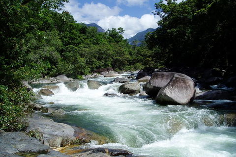 Daintree Rainforest, Cape Tribulation, Mossman Gorge Small-Group Day Tour - 2032 Olympic Games 5