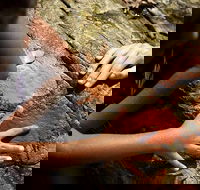 Ngana Julaymba Dungay - Full Day - 2032 Olympic Games