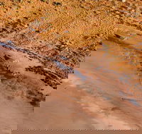 Scenic Flight Lizard Safari - 2032 Olympic Games