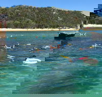 All Inclusive Dolphin and Tangalooma Wrecks Cruise - 2032 Olympic Games
