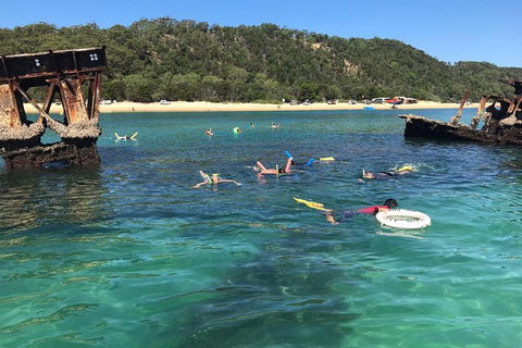 All Inclusive Dolphin And Tangalooma Wrecks Cruise - 2032 Olympic Games 0