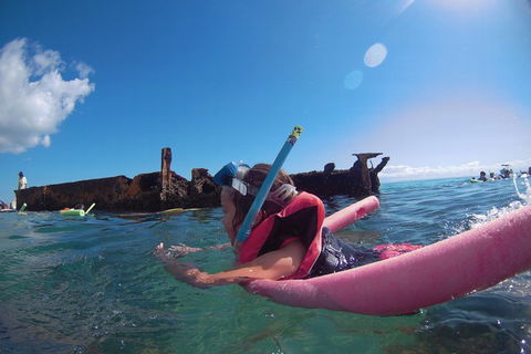 All Inclusive Dolphin And Tangalooma Wrecks Cruise - 2032 Olympic Games 2