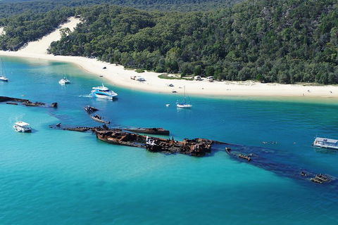 All Inclusive Dolphin And Tangalooma Wrecks Cruise - 2032 Olympic Games 4