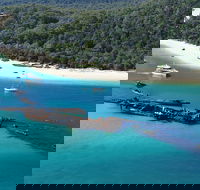 All Inclusive Tangalooma Wrecks Cruise Tour From Gold Coast - 2032 Olympic Games