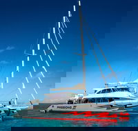 Passions of Paradise Great Barrier Reef Snorkel and Dive Cruise from Cairns by Luxury Catamaran - 2032 Olympic Games
