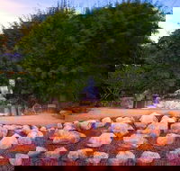 Byron Bay and the Crystal Castle Day Tour from Gold Coast - 2032 Olympic Games