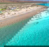Ningaloo in a Day - Full Day Hike and Snorkel Tour with Lunch - 2032 Olympic Games