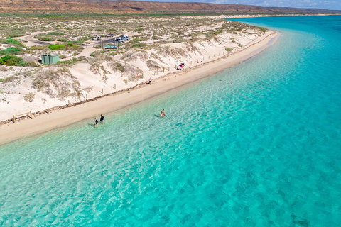 Ningaloo In A Day - Full Day Hike And Snorkel Tour With Lunch - 2032 Olympic Games 0