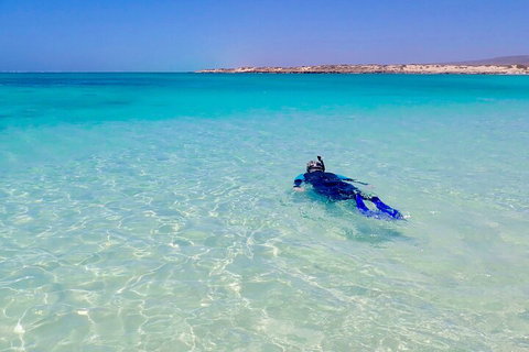 Ningaloo In A Day - Full Day Hike And Snorkel Tour With Lunch - 2032 Olympic Games 4