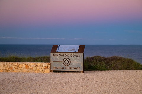Ningaloo In A Day - Full Day Hike And Snorkel Tour With Lunch - 2032 Olympic Games 5