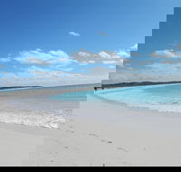 Shipwreck Special Nature Tour/Half Day Tour - 2032 Olympic Games