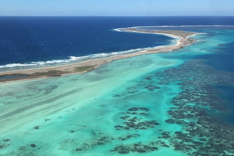 Pink Lake + Abrolhos Islands Nature Tour - 2032 Olympic Games 2
