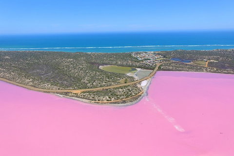 Pink Lake + Abrolhos Islands Nature Tour - 2032 Olympic Games 4