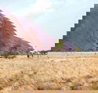 Uluru Sunrise and Guided Base Walk - 2032 Olympic Games