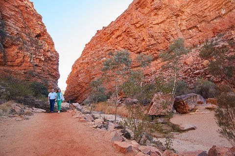 Best Of Alice Springs Full Day Tour - 2032 Olympic Games 1
