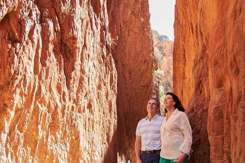 Best Of Alice Springs Full Day Tour - 2032 Olympic Games 4
