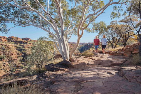 3-Day Tour From Uluru (Ayers Rock) To Alice Springs Via Kings Canyon - 2032 Olympic Games 1