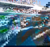 Great Barrier Reef Day Cruise from Cairns Including Snorkeling and Marine Biologist Presentation - 2032 Olympic Games