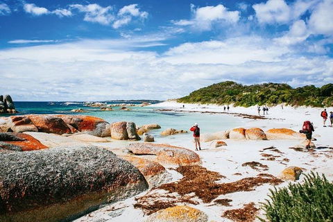 Wineglass Bay Private Charter Service - 2032 Olympic Games 3