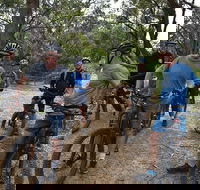 Fully guided E-Mountain Bike Tour on the beautiful Mornington Peninsula. - 2032 Olympic Games
