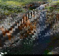 7 Days Darwin Kakadu National Park Katherine Gorge Touring Package - 2032 Olympic Games