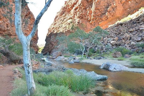 Alice Springs, Uluru Ayers Rock & Kings Canyon 8 Days Touring Package - 2032 Olympic Games 2
