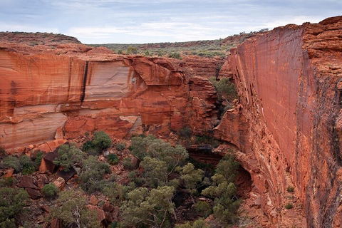 Uluru, Kata Tjuta And Kings Canyon Camping Safari From Ayers Rock - 2032 Olympic Games 1