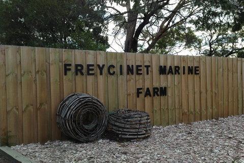 Active Day Tour One-Way From Launceston To Hobart Via Wineglass Bay - 2032 Olympic Games 3