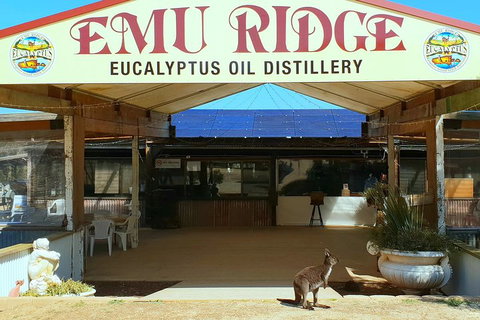 Full-Day Kangaroo Island Safari From Penneshaw - 2032 Olympic Games 2