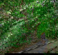 Green Island Eco Adventure from Cairns - 2032 Olympic Games