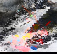 Barron Gorge National Park Half-Day White Water Rafting from Cairns or Port Douglas - 2032 Olympic Games