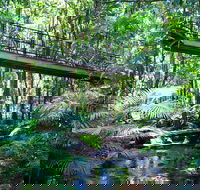 Double Pack-Ancient Rainforest and Waterfalls - 2032 Olympic Games
